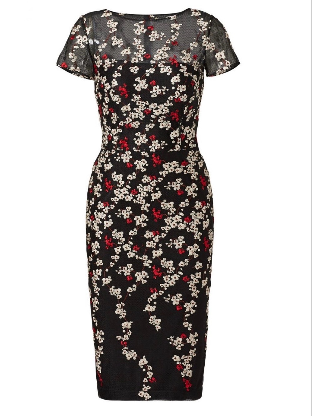 David Meister Black Floral Mesh Sheath Dress with Red & White Accents